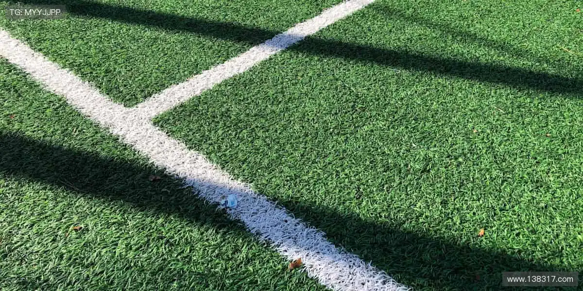 🎯 从装备到潮流,体育周边商城,做你的运动全能搭档!